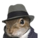 Codolio profile picture for @aa