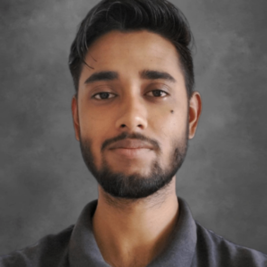 Codolio profile picture for @Nitish